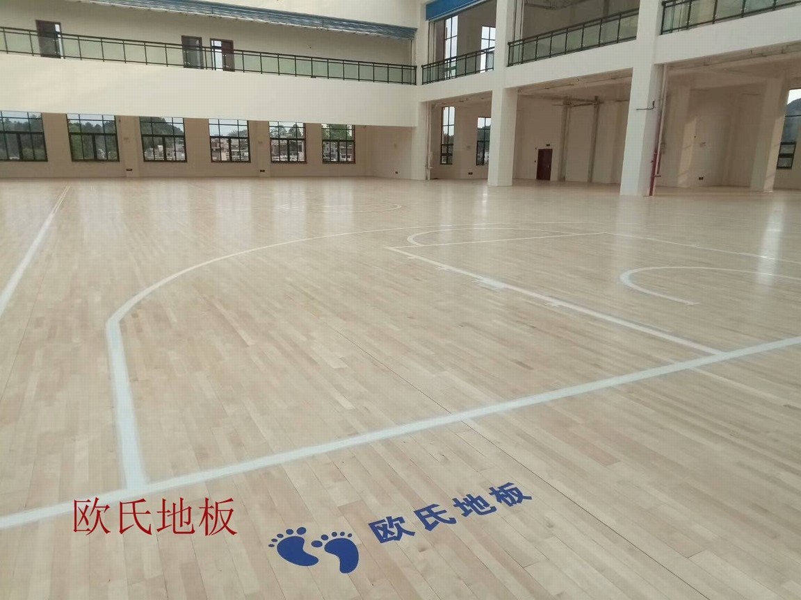 歐氏地板
