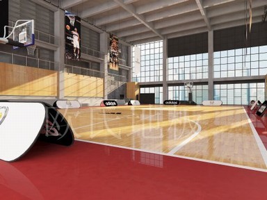 常見運動木地板有以下種類