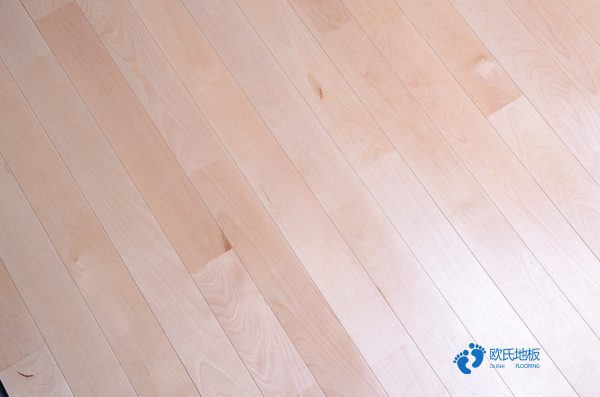 用哪種供應體育地板