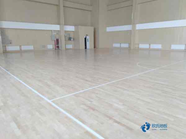 運動場館地板的排名