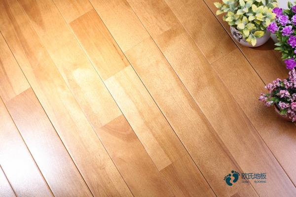 楓樺木籃球館地板保養