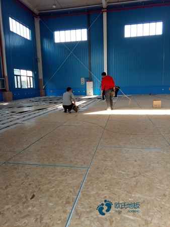 楓木運動館木地板環保嗎