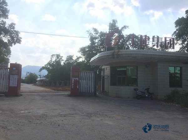 高品質體育館木地板安裝公司