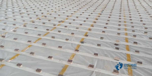 常見體育場地木地板安裝公司