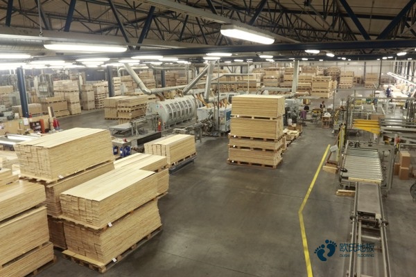 楓木體育場地木地板環保