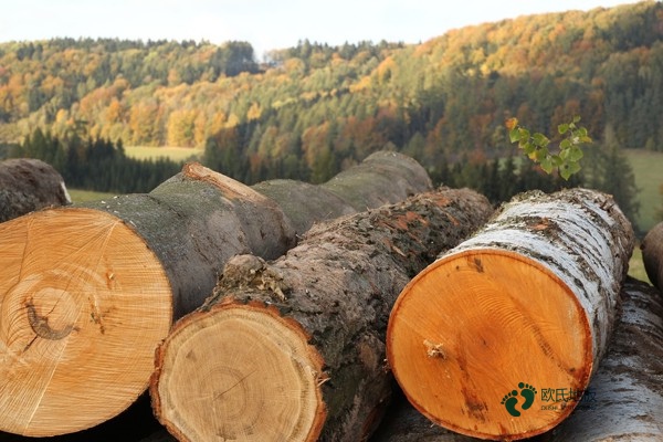 那有運(yùn)動體育地板廠家報價