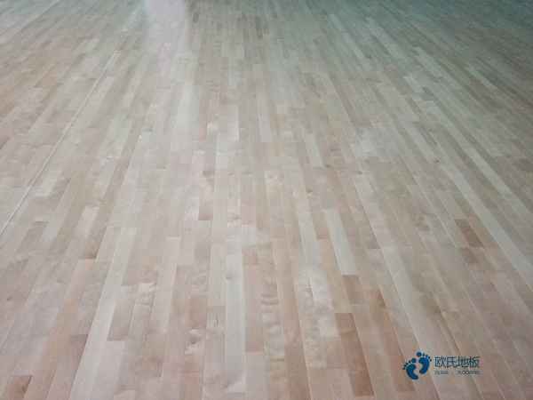 批發體育籃球木地板大約多少錢