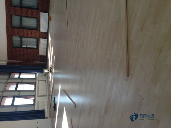 哪有體育籃球木地板價錢