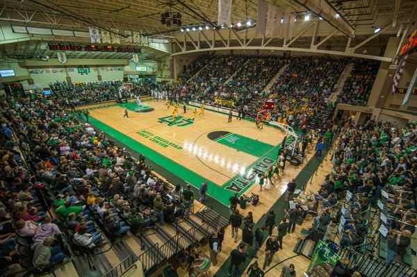 行業籃球木地板價位