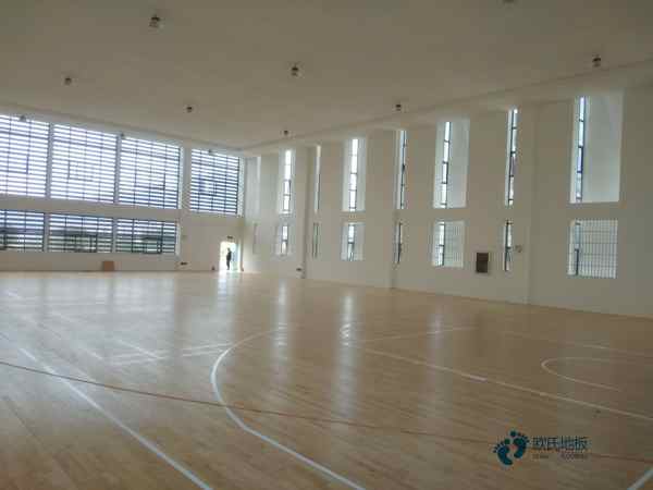 哪里有籃球木地板價格表