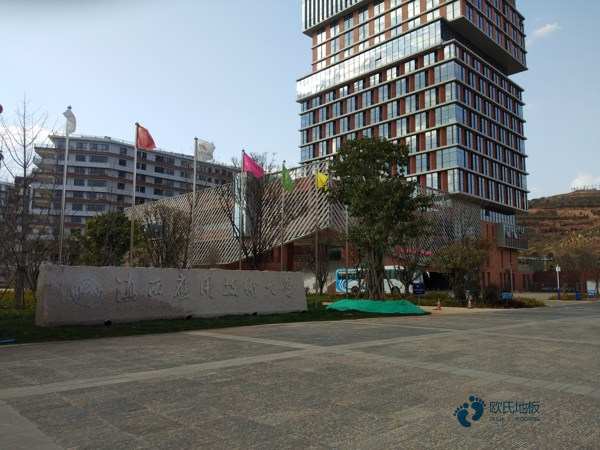 哪里有籃球木地板價位