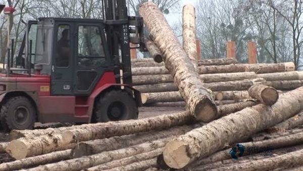 那有體育運動木地板防護