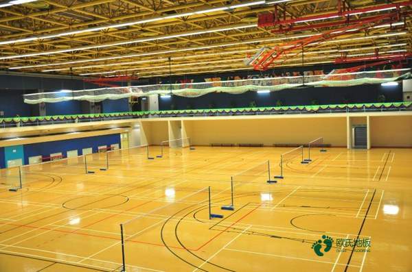 高品質籃球木地板報價