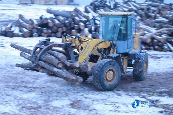 室內運動木地板的作用