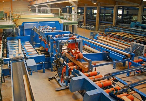 學(xué)校籃球場館木地板減震3