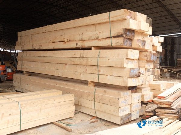 學(xué)校籃球場館木地板減震2